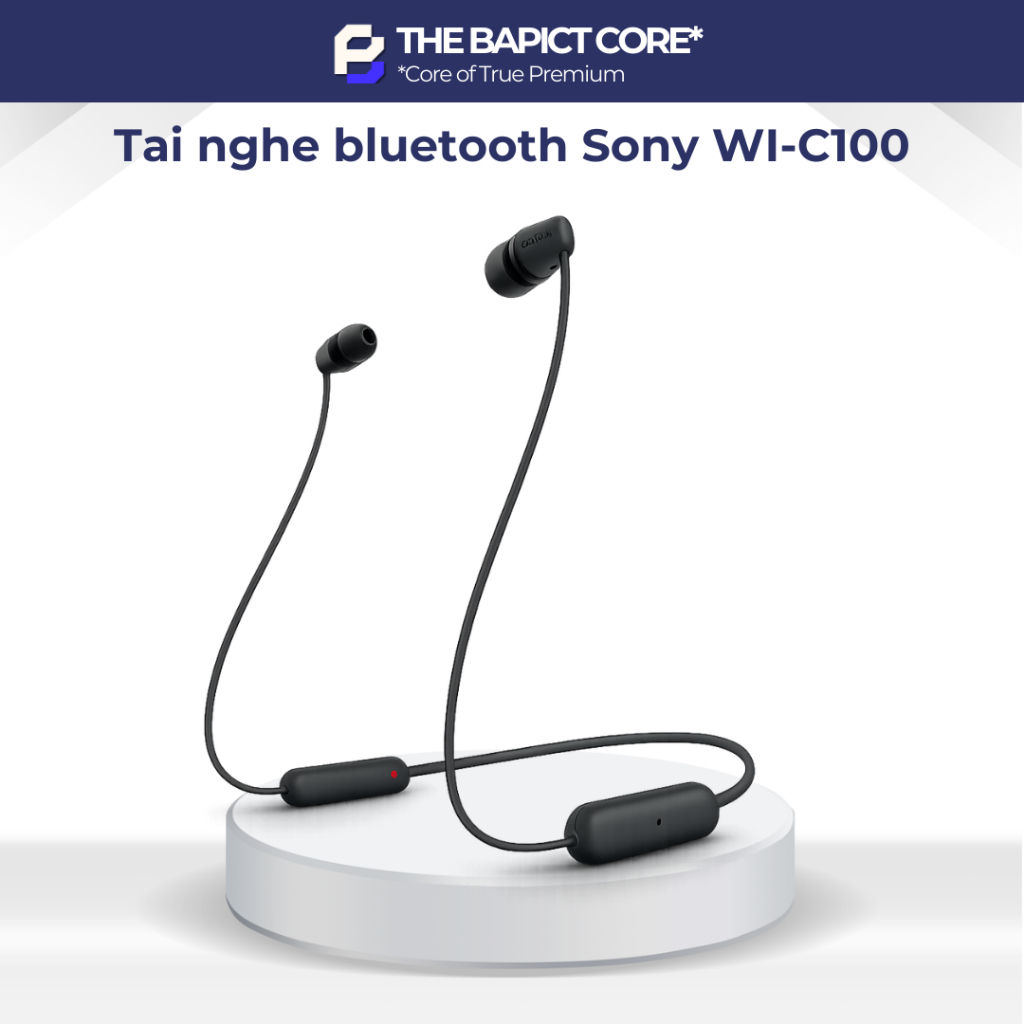 [HOẢ TỐC HCM] Tai nghe Bluetooth không dây SONY WI-C100