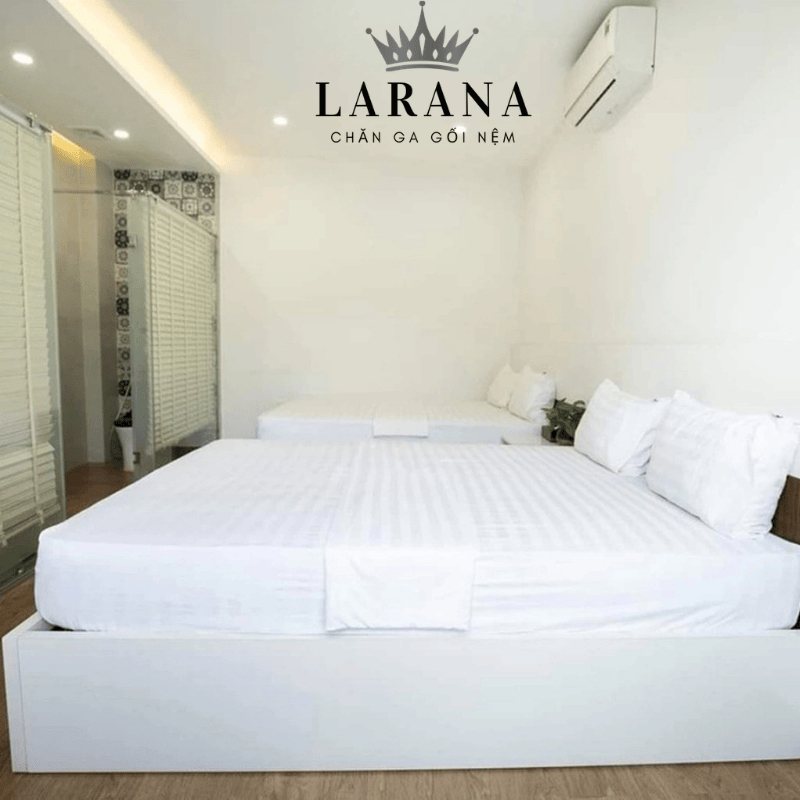 Ga Chun Cotton Sọc - Trơn Thoáng Mát Tiêu Chuẩn Khách Sạn 5 Sao | BigBuy360 - bigbuy360.vn