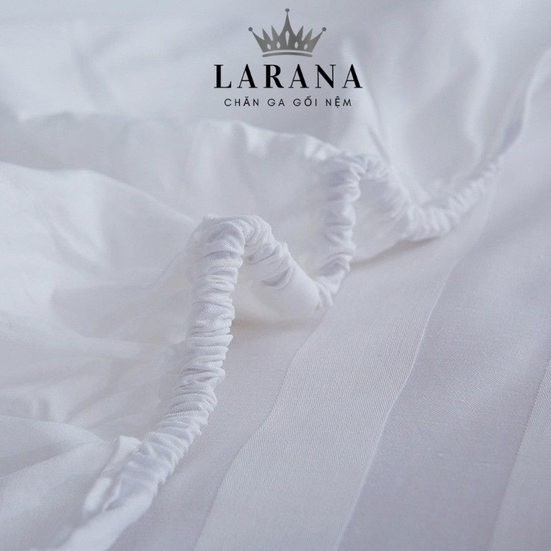 Ga Chun Cotton Sọc - Trơn Thoáng Mát Tiêu Chuẩn Khách Sạn 5 Sao | BigBuy360 - bigbuy360.vn