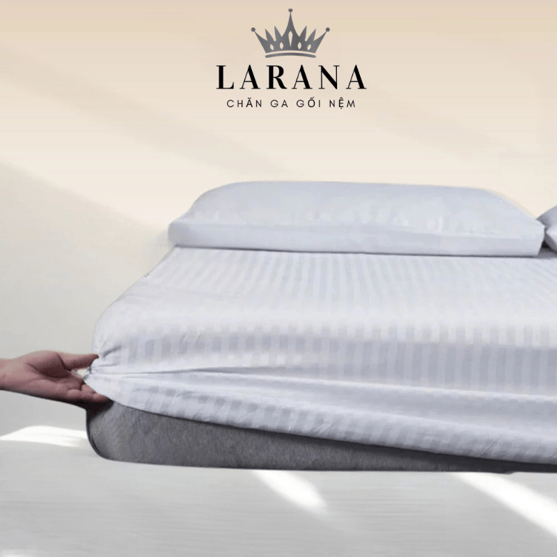 Ga Chun Cotton Sọc - Trơn Thoáng Mát Tiêu Chuẩn Khách Sạn 5 Sao | BigBuy360 - bigbuy360.vn