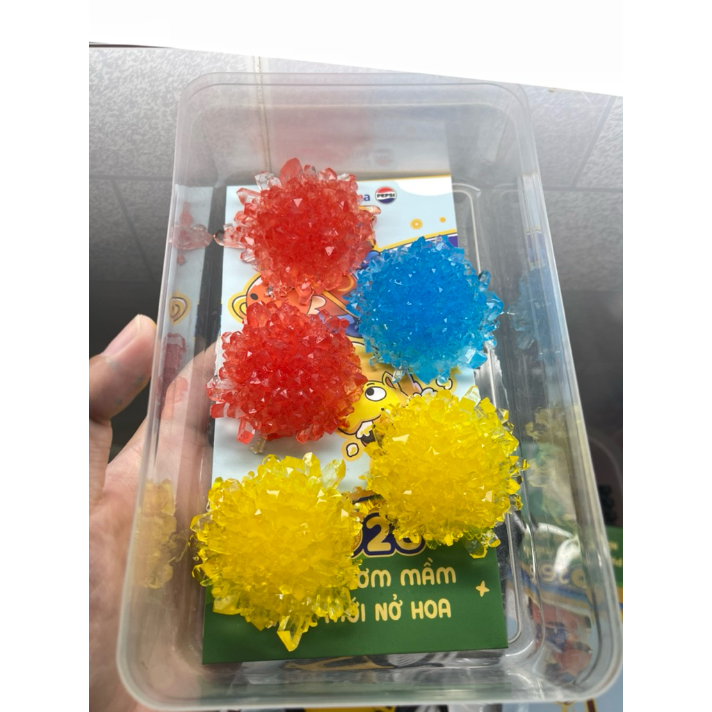 (TINH THỂ NUÔI SẴN) Tinh Thể Hoa KDP nuôi sẵn 3-4 tuần