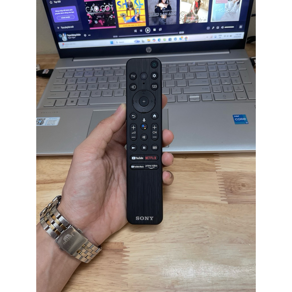 Điều khiển Tivi Sony giọng nói TX800P tặng pin( Dùng chung các mã TX500P-TX520P-TX800P-TX810V-TX820V