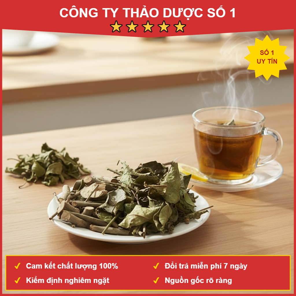 Xạ Đen Hòa Bình Nguyên Chất Hỗ Trợ Giải Độc Gan Tăng Cường Đề Kháng Gói 500g Thảo Dược Thiên Nhiên