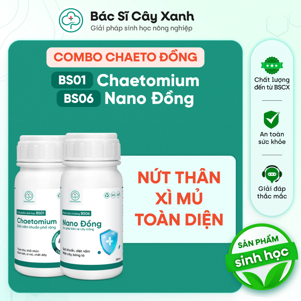 Combo Ngăn Nứt Thân Xì Mủ Thán Thư BS01 Chaetomium BS06 Nano Đồng - Trị Thối Nhũn - Bác Sĩ Cây Xanh