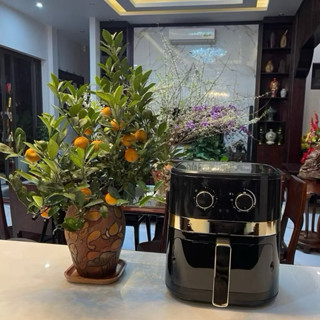 🎈Nồi chiên không dầu CAMEL 15L chính hãng lỗi 1 đổi 1,bảo hành 12 tháng  1500W( Giá Sỉ 96)