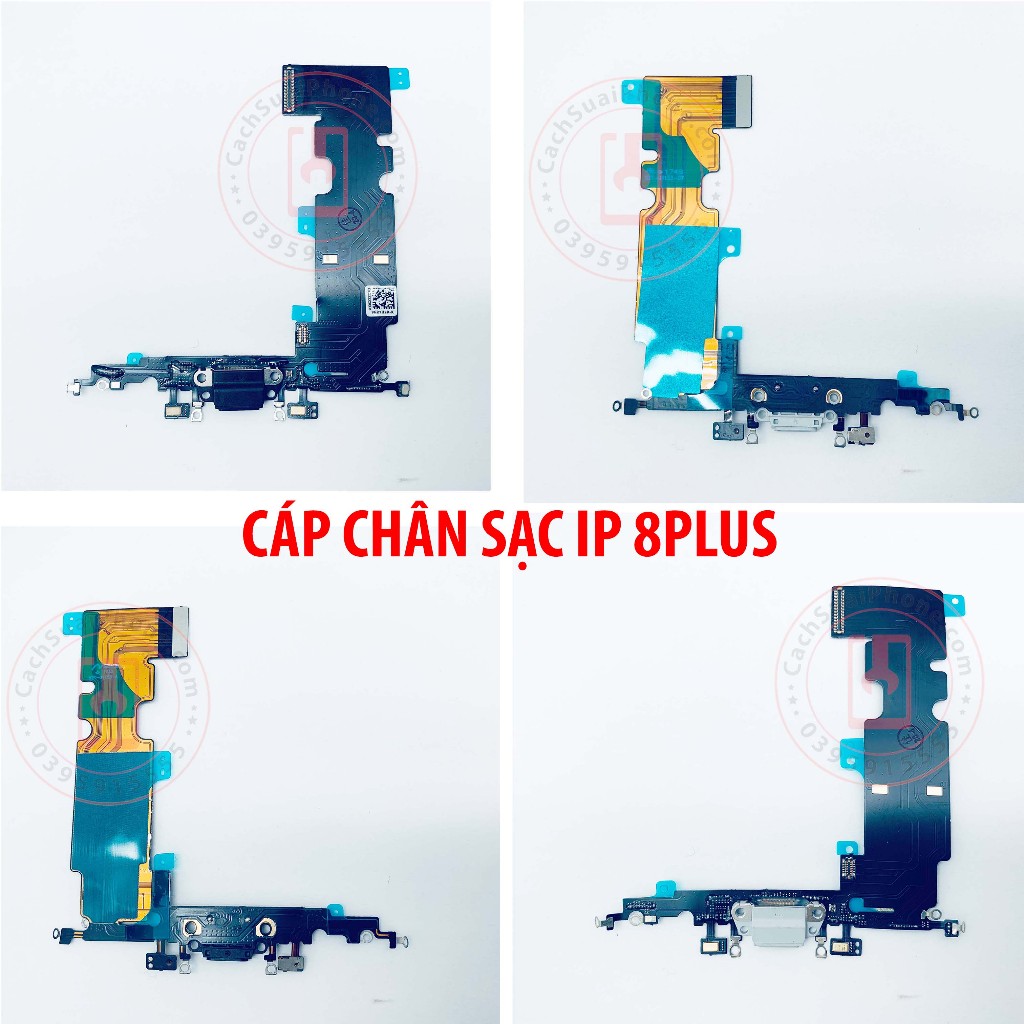 Cáp Chân Sạc - Tương Thích IP 5S / 5SE / 6 / 6S / 7 / SE 2020 / 8 / Plus Đủ Các Loại