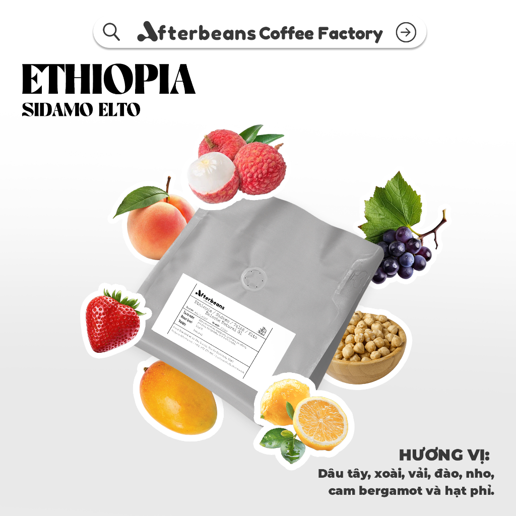 (LIMITED) ETHIOPIA  Sidamo Elto Dalecha – Natural G1 - Specialty Coffee – Strawberry, mango, lychee,