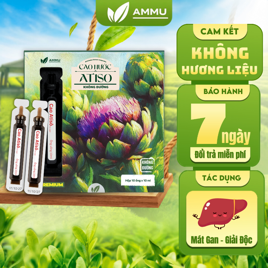 [KOL Live] Cao Ống Atiso Không Đường Ammu Atiso Đà Lạt Thanh Nhi.ệ.t Mát G.a.n Detox Cơ Thể Tiện Dụn