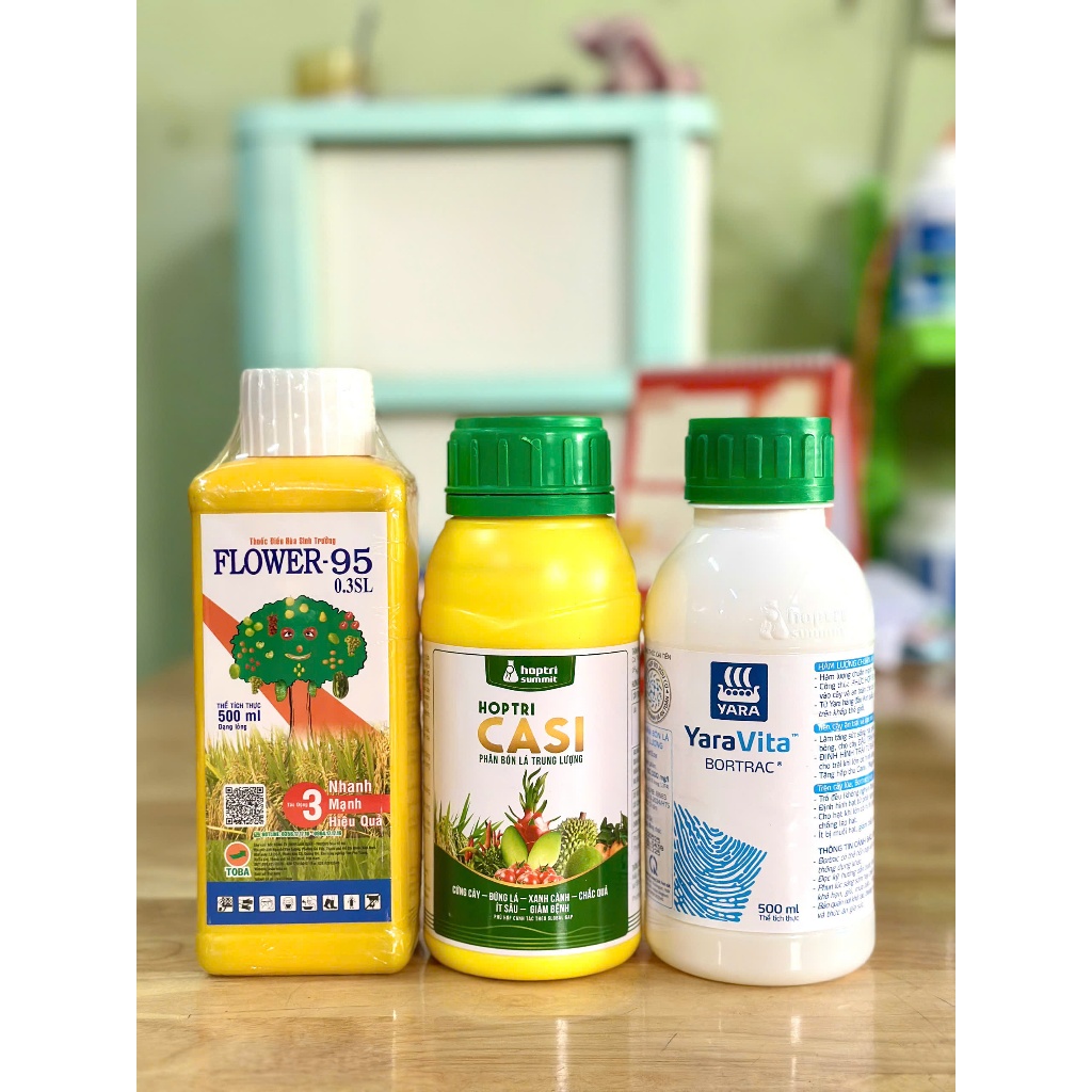 BỘ BA ĐẬU TRÁI (F95-CASI-BOTRAC) CHAI 500ML-1LÍT