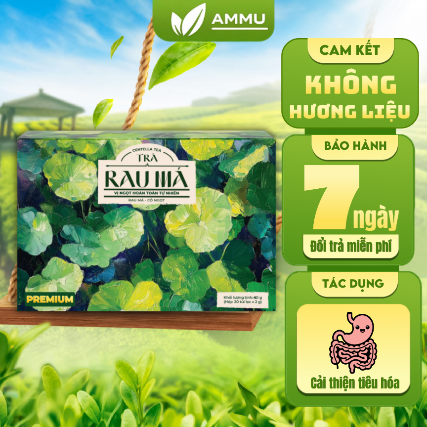 [KOL Live] Trà Rau Má Túi Lọc Ammu Thanh Nhiệt Mát Ga.n Detox Da Hộp 20 Túi Lọc