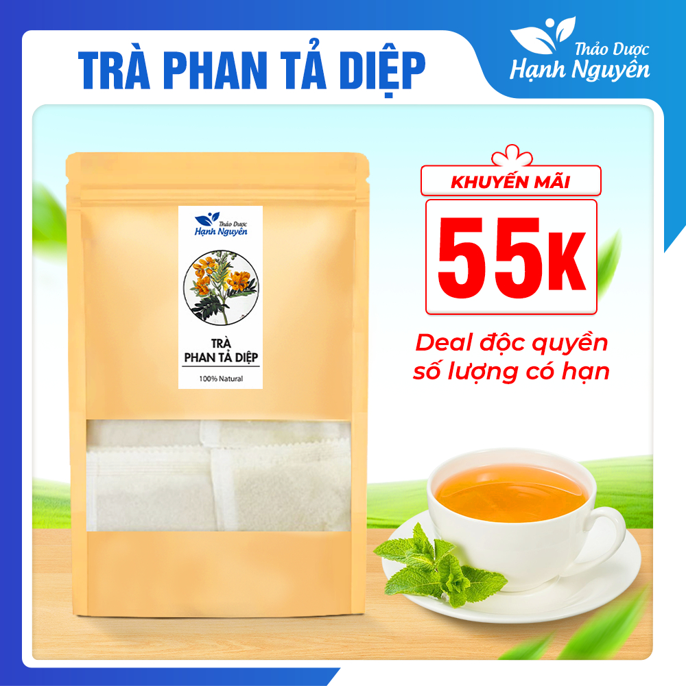 Trà phan tả diệp, bịch 50 túi lọc, hỗ trợ thanh lọc cơ thể - Thảo Dược Hạnh Nguyên