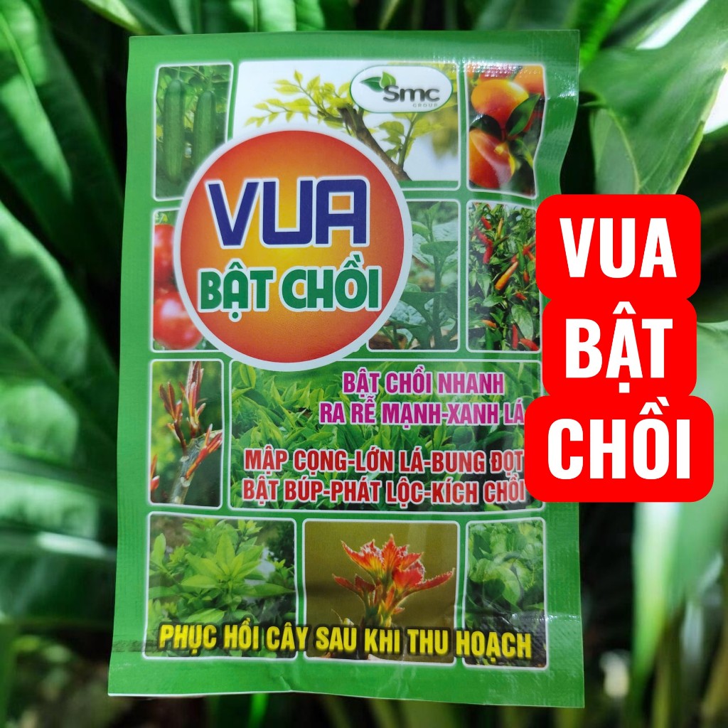 🌿 PHÂN BÓN VUA BẬT CHỒI 50G – SIÊU VỌT ĐỌT – BẬT BÚP – RA CHỒI MẠNH – XANH LÁ – PHỤC HỒI CÂY NHANH