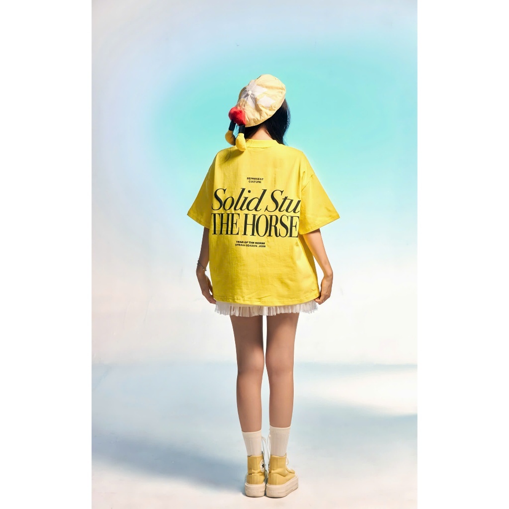 Áo Thun Boxy Thêu In Nổi THEHORSE SOLID Local Brand Unisex Cotton 100% 240GSM - TS42 | BigBuy360 - bigbuy360.vn