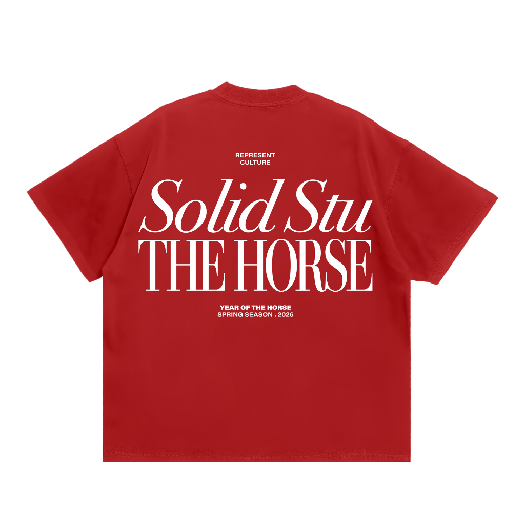 Áo Thun Boxy Thêu In Nổi THEHORSE SOLID Local Brand Unisex Cotton 100% 240GSM - TS42 | BigBuy360 - bigbuy360.vn