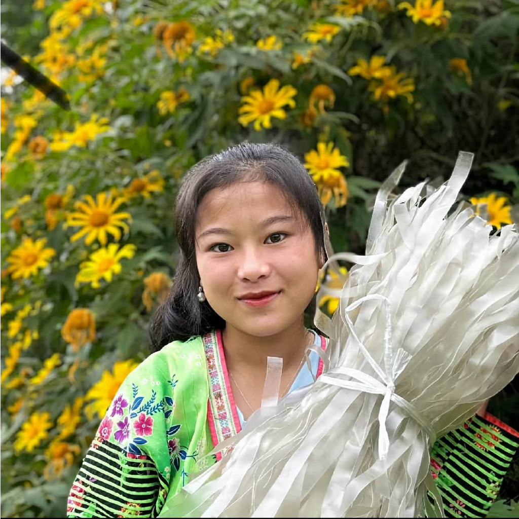 ( Đặc sản Điện Biên chính hãng)  Miến dong Sầu Bầu Điện Biên,hàng ngon dai không chất bảo quản uy tín số 1