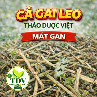 1kg cà gai leo khô Hòa Bình - Hàng Công ty Thảo Dược Việt