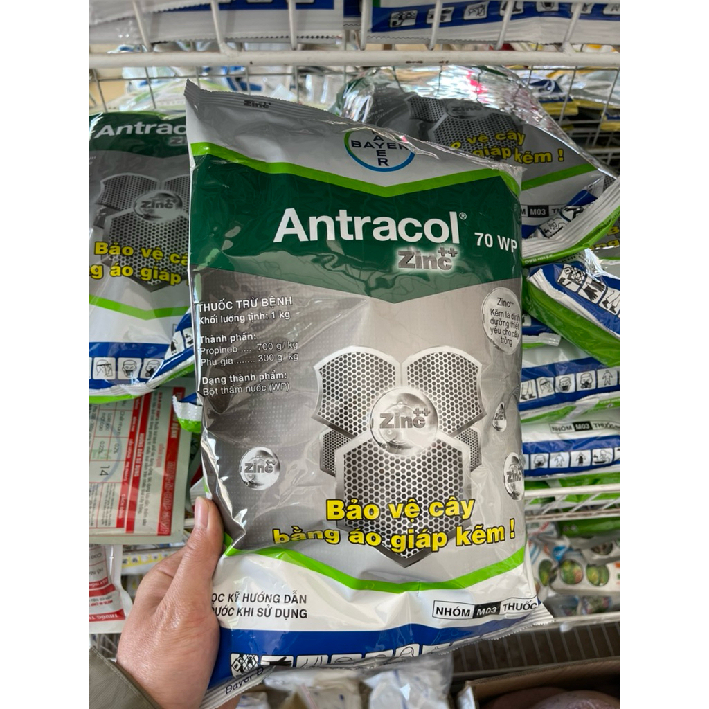 Antracol 70WP