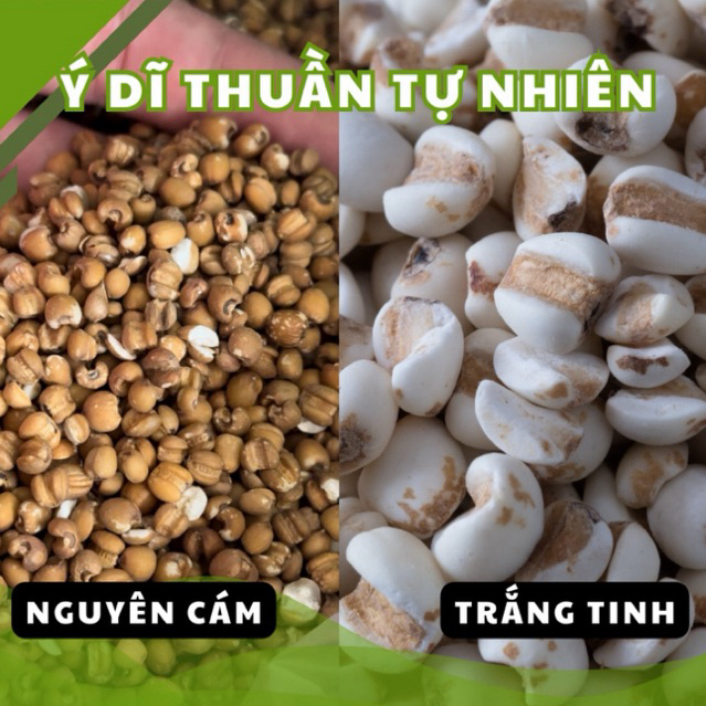 Ý Dĩ Nếp Sơn La Thuần tự nhiên, nguyên cám và trắng