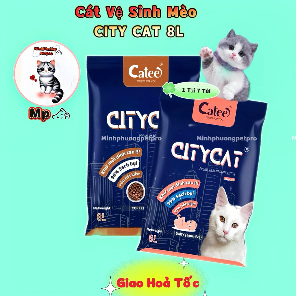 [ Tải 7 bao ] Cát vệ sinh cho mèo CityCat , cát vệ sinh city cat cho mèo vón tốt tiết kiệm