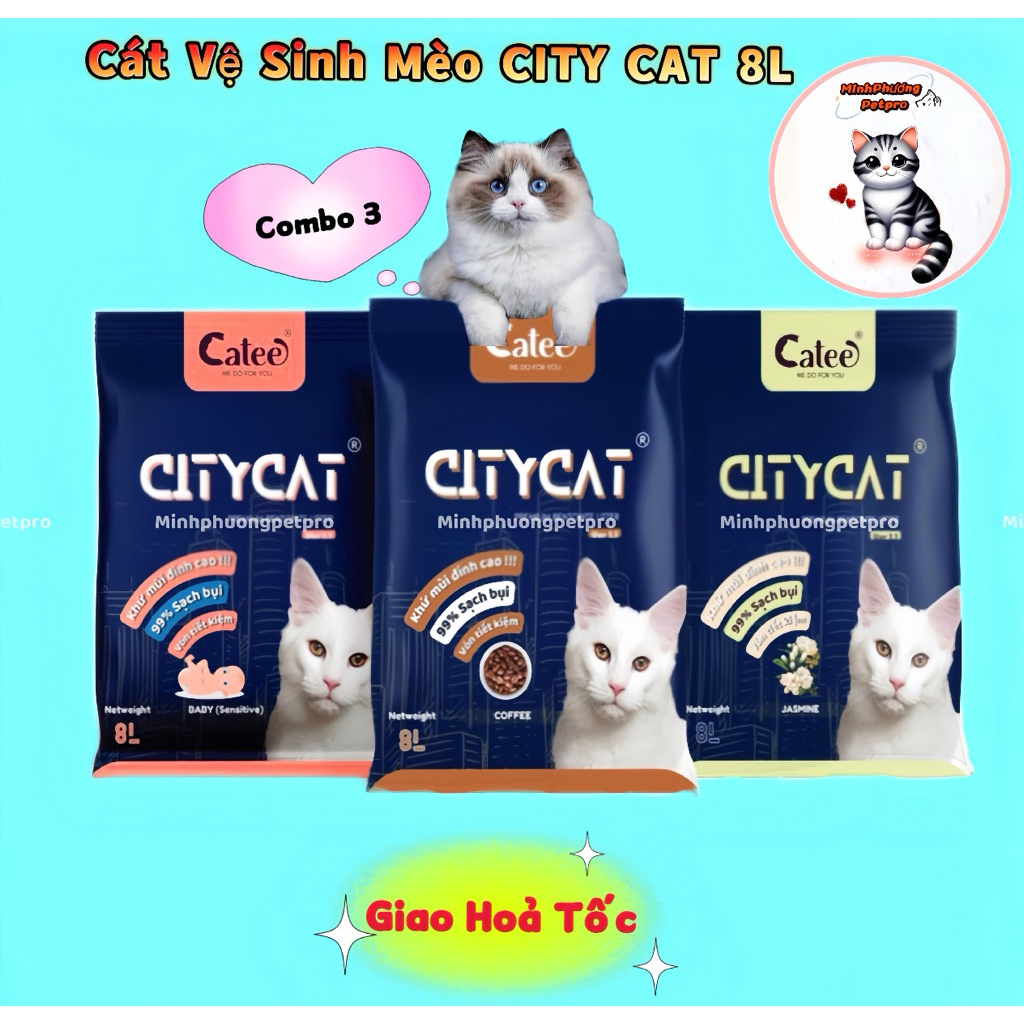 [ Combo 3 túi ] Cát vệ sinh cho mèo Citycat, cát vệ sinh cho mèo vón tốt thơm lâu City cat