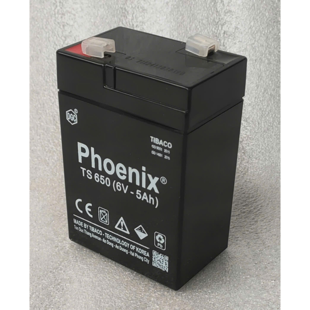 Bình ắc Quy 6V-5Ah Phoenix TS650