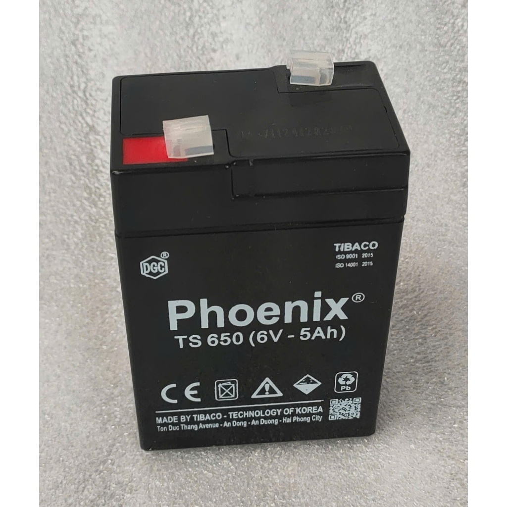 Pin ắc quy 6V-5Ah Phoenix TS650