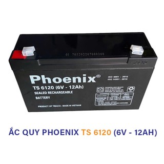 Ắc quy 6V 12Ah Phoenix TS6120
