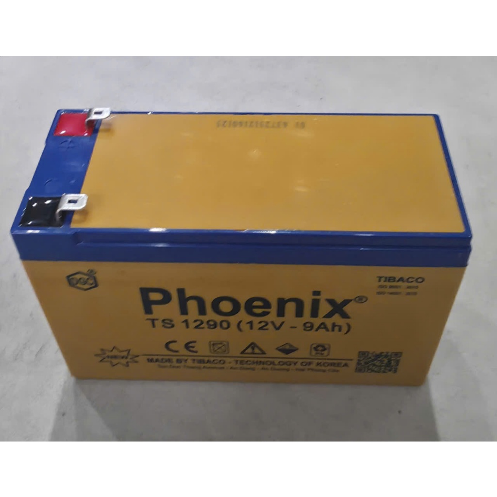 Ắc quy Phoenix 12V-9Ah TS 1290