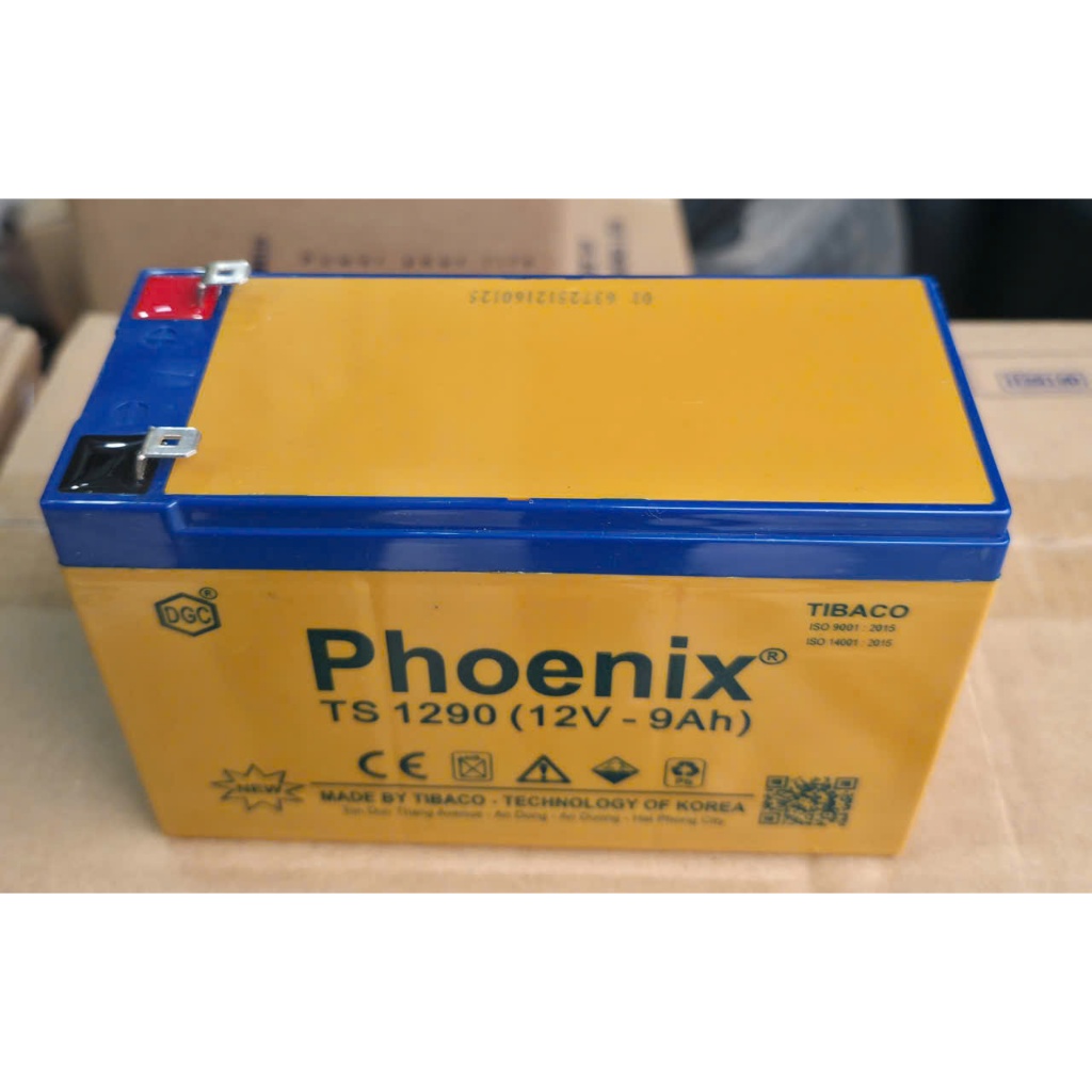 Bình Ắc Quy Phoenix 12V-9Ah TS1290- Ắc quy 9A