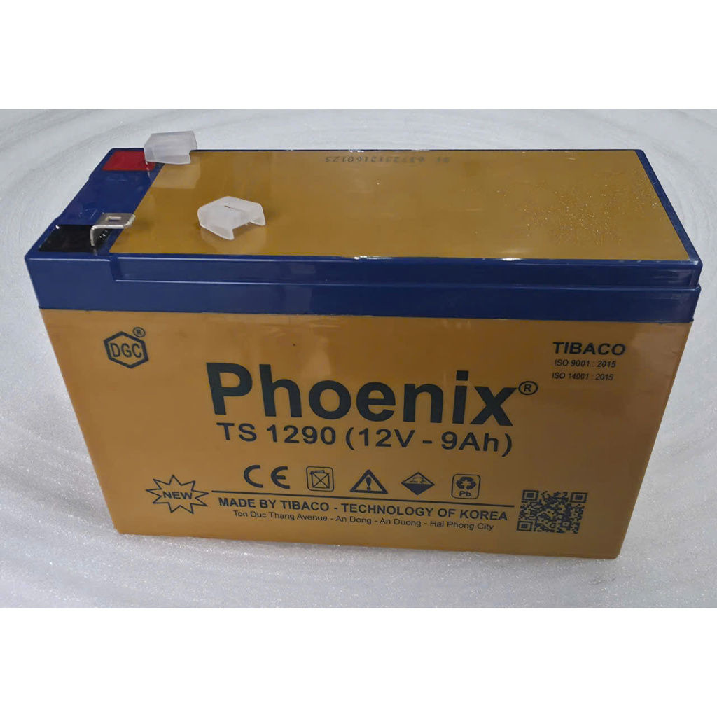 Pin Ắc quy Phoenix 12V-9Ah TS 1290