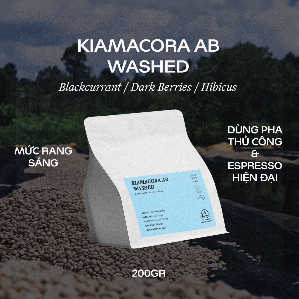 Kenya Kiambu Kiamacora AB - Cà phê Arabica Đặc Sản  - Siêu Bình Thường Coffee Roasters