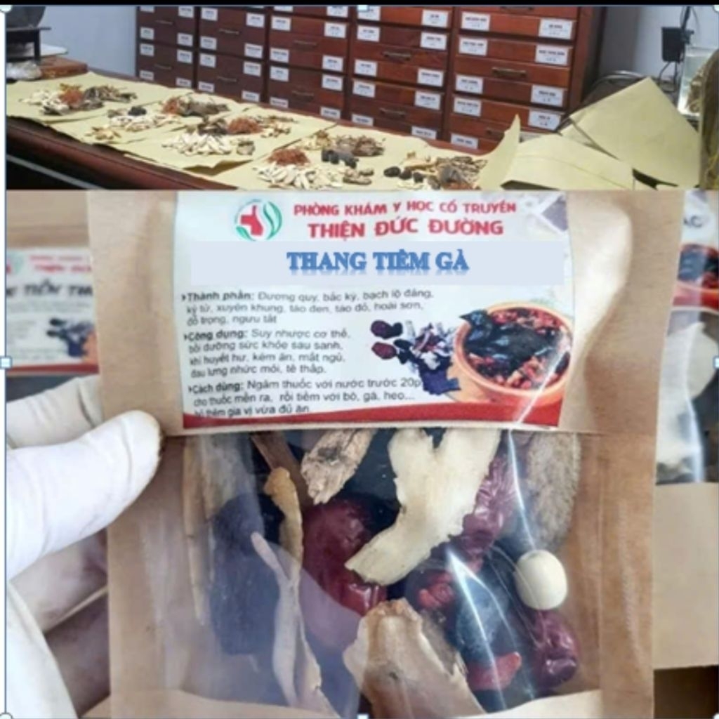 THANG TIỀM GÀ cao cấp 20 món