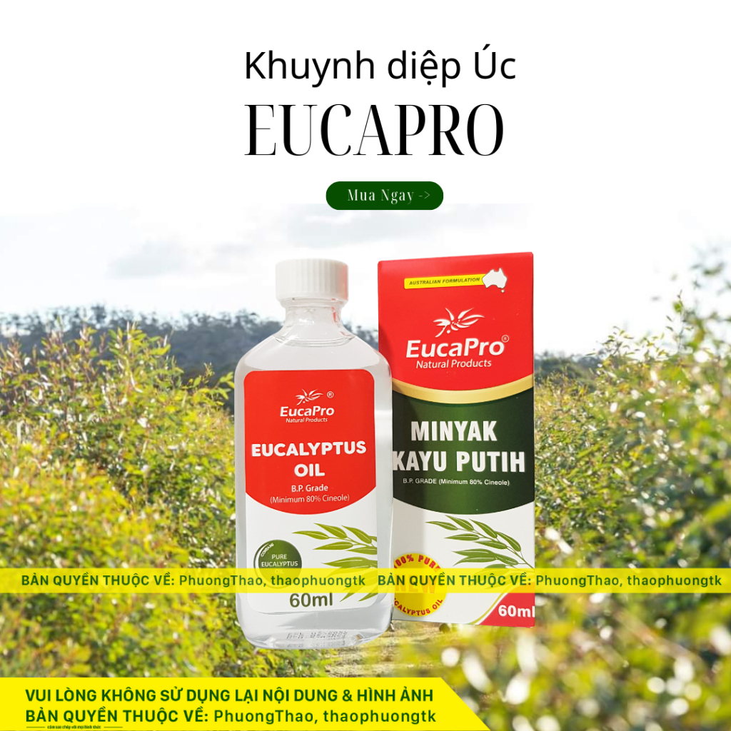 Tinh Dầu Khuynh Diệp EucaPro, EukyBear, Kangaroo, Dầu tràm Úc, dầu tràm cho trẻ sơ sinh, Dầu tràm ng