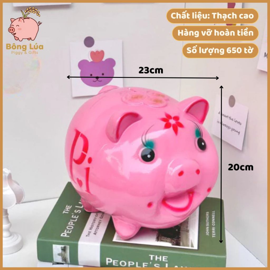 Heo/lợn đất tiết kiệm mẫu Pi sz to( kèm ảnh video thật)