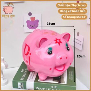 Heo/lợn đất tiết kiệm mẫu Pi sz to( kèm ảnh video thật)