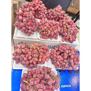 Hộp 500g Nho Đỏ Úc Nhập Khẩu