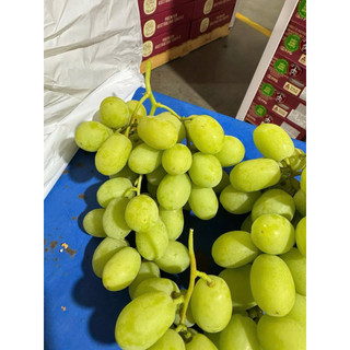 Hộp 1kg - NHO XANH ÚC