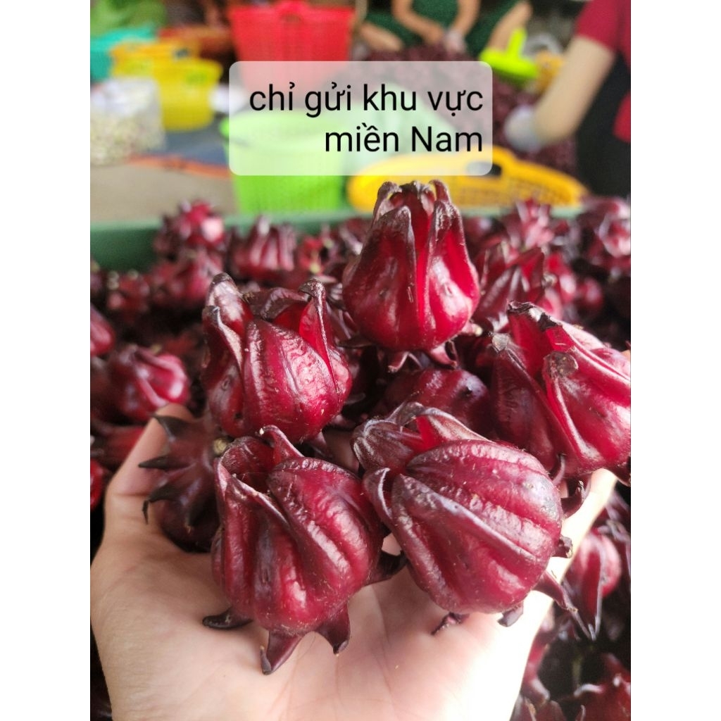COMBO 2KG ATISO ĐỎ CÒN HẠT(chỉ giao khu vực miền nam)