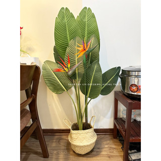 Cây chuối giả - cây giả 1m2 decor - cây chuối dẻ quạt