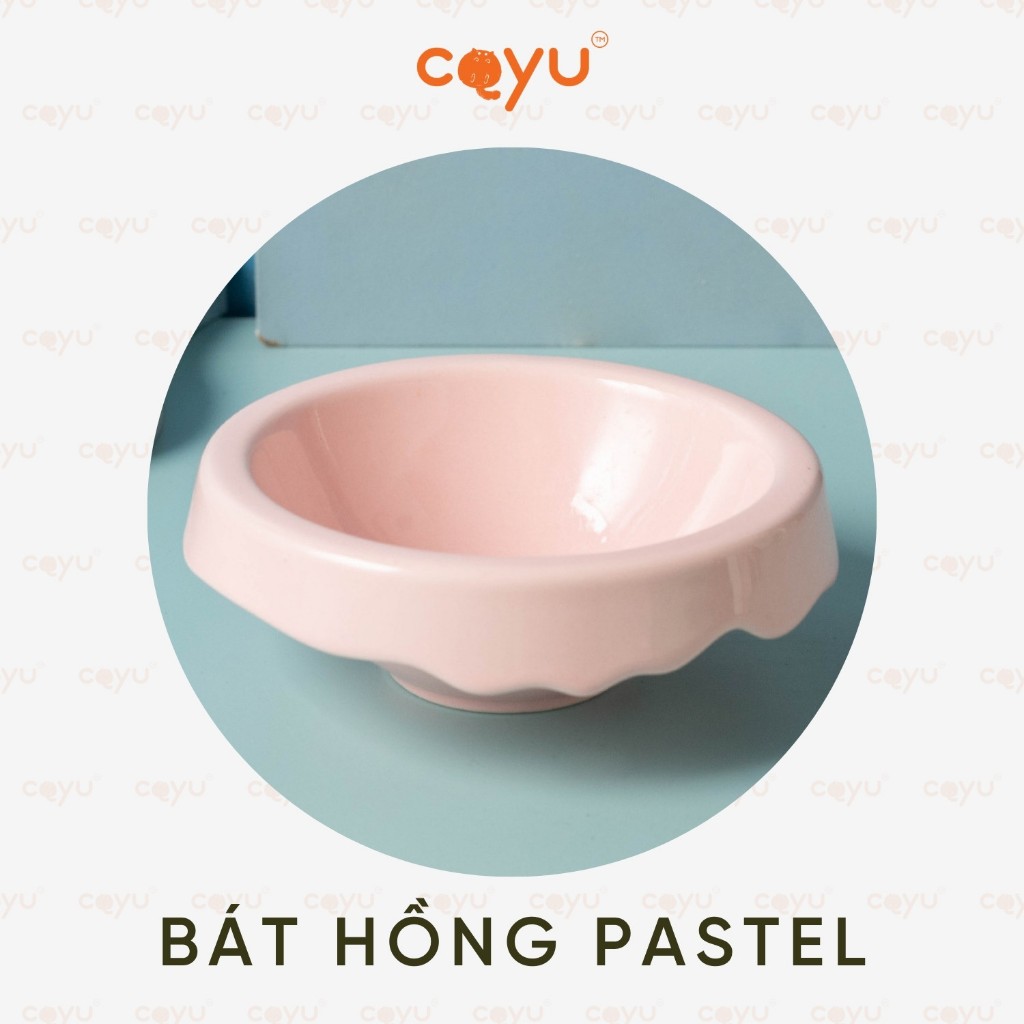 Hoả Tốc Trước 23h - Bát Sứ Chân Sắt - Chống Lật Chống Gù - Mới 2026 - Phù Hợp Mèo và Chó Nhỏ - Coyu