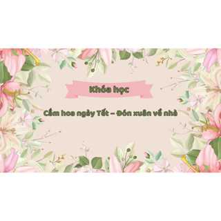 Khóa học Cắm hoa ngày Tết – Đón xuân về nhà - Khóa học Online - Trung tâm OM'E