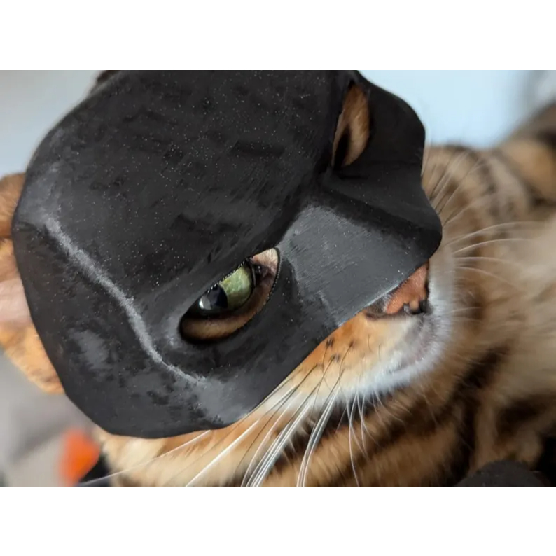 Mặt Nạ Cho Mèo Phong Cách Batman – Mask In 3D