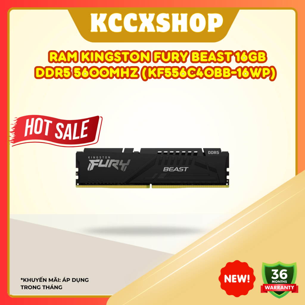 RAM Kingston FURY Beast 16GB DDR5 5600MHz (KF556C40BB-16WP) – Tốc độ cao, ổn định cho PC thế hệ mới