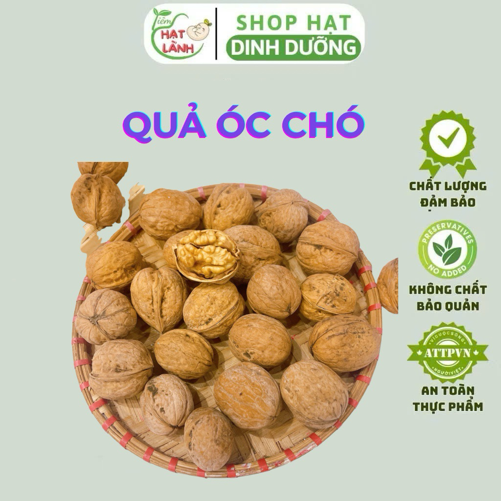 500G QUẢ ÓC CHÓ VÀNG MỸ