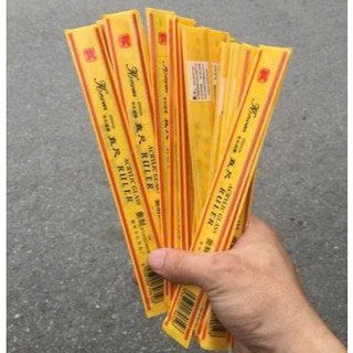 Thước Kẻ Nhựa 20cm Trong Suốt Đẹp (Combo 10 cái)