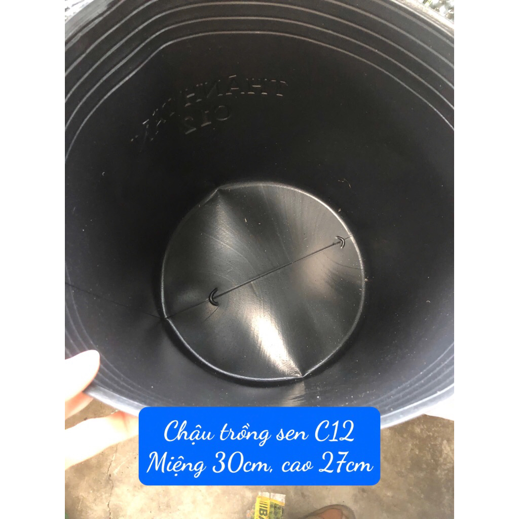 Chậu nhựa đen dẻo bít lỗ C12 trồng sen (Combo 10 cái 80k)
