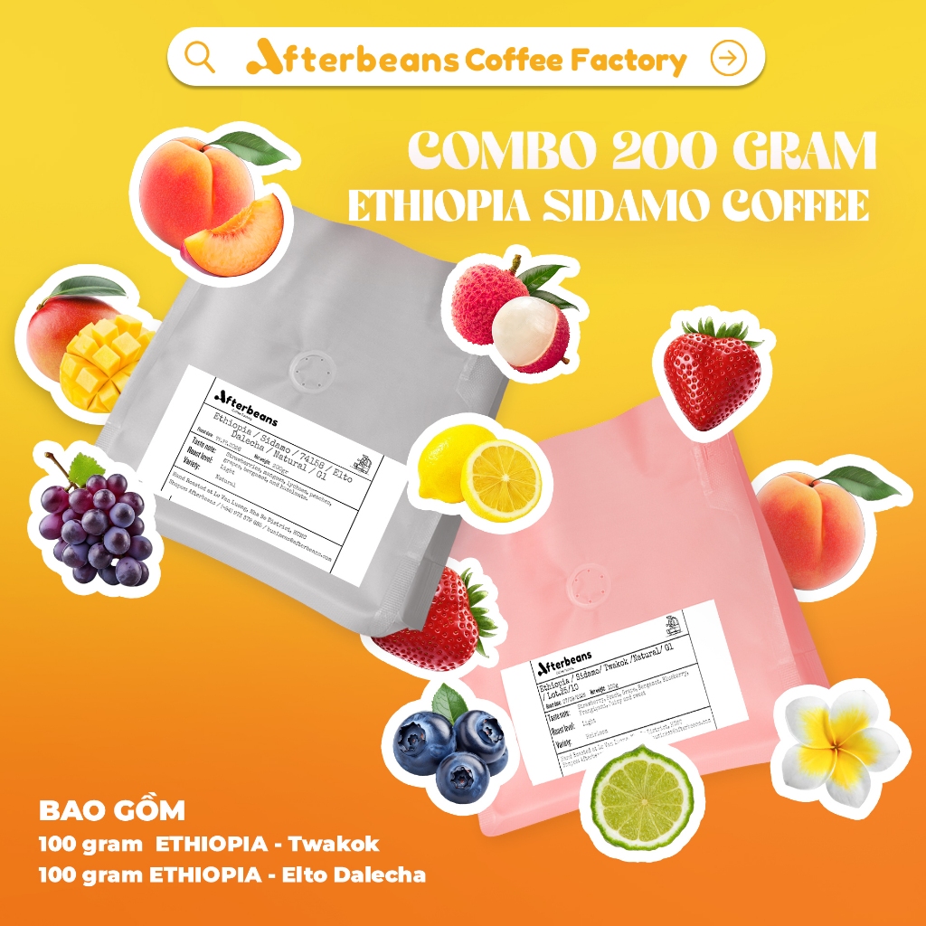 (LIMITED) COMBO ETHIOPIA SIDAMO COFFEE - 100 gram Twakok + 100 gram Elto Dalecha