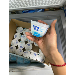 Sữa chua ăn Đà Lạt Milk 100gr