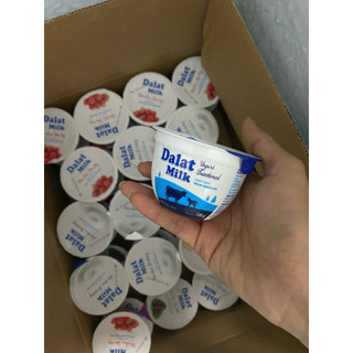 Sữa chua ăn Đà Lạt Milk 100gr
