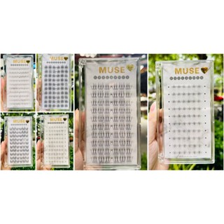 MI Muse X  full mã HOTTREND(x01-x101)